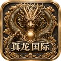 真龙国际